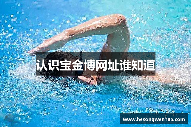 认识宝金博网址谁知道